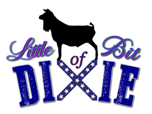 Little Bit of Dixie, LLC